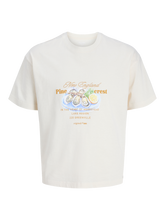 Ladda upp bild till gallerivisning, pack_shot-front