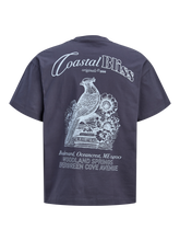 Ladda upp bild till gallerivisning, pack_shot-back
